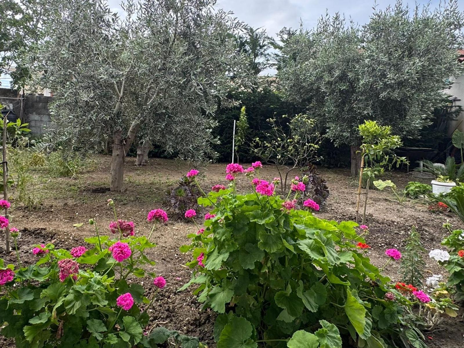 Vila Brilant Vlorë 外观 照片